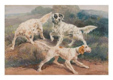 Landscape with Three Setters