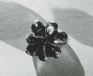 Bead