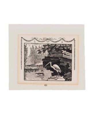 Egret and Duck in Landscape