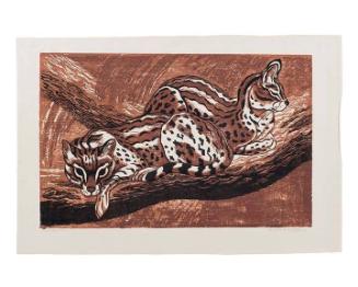 Ocelots