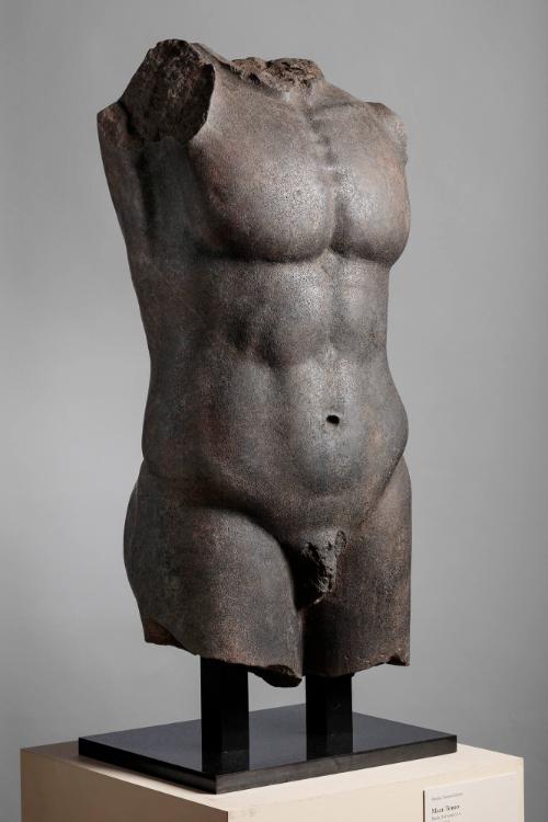 Fragmentary Male Torso