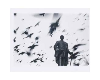 Early Images Portfolio I: Pigeons in Trafalgar Square, London, 1936