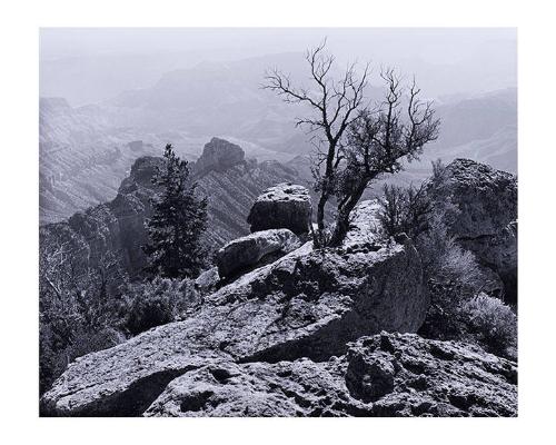 North Rim, Grand Canyon