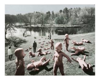 Babies at Paradise Pond