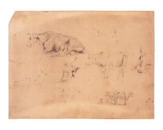 Cow Studies (Lugt )