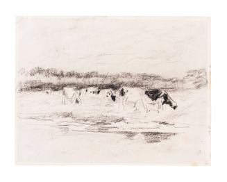 Cows in the Meadow. Verso: Figure in a Field (Lugt 143)