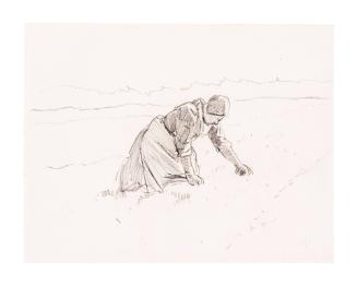 Woman Field Worker, Verso: Sheep on a Road (Lugt 143)