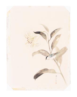 Lily and Bird