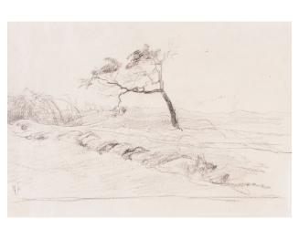 Landscape with Windblown Tree.     Verso: Sketch for Cows and Cowherd (Lugt 143)