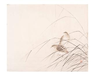 Two Quails Among Grasses