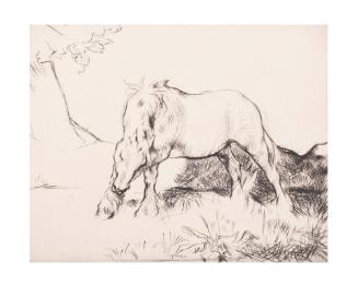 The White Horse