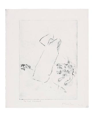 The Confidence Man: "The Good Shepherd" [No. 6]