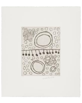 Mukula (from Tjukurrpa Palurukutu, Kutjupawana Palyantjanya: same stories a new way)