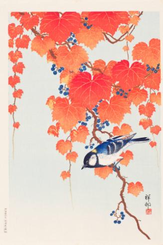 Vine and Japanese Bunting