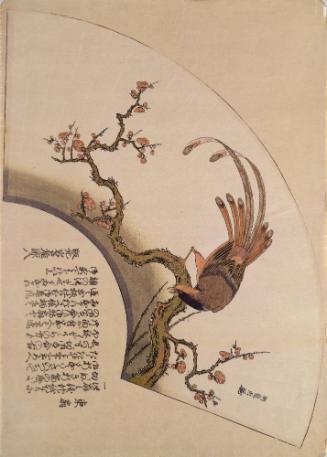 Fan Print: A long-tailed bird on a flowering plum branch