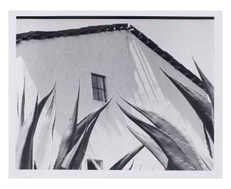 Ventana a los magueyes (Window on the Agaves)