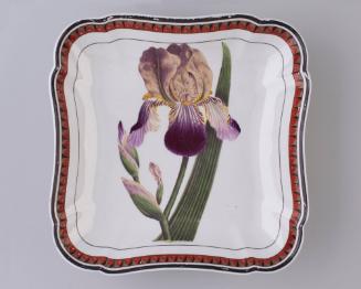 Square Wilson-Hanley Dish