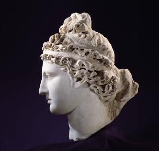 Head of Venus