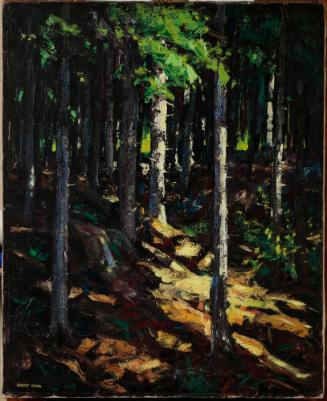 Cathedral Woods, Monhegan Island