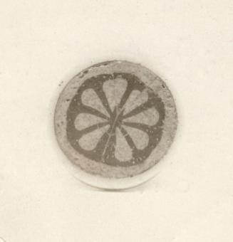 Section of Mosaic Cane