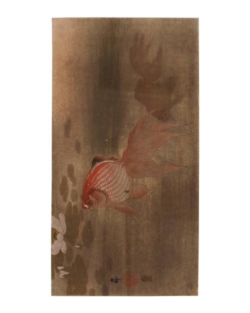 Fan Tailed Goldfish in Lotus Pond