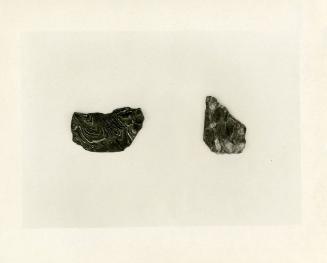 Fragment of Plate