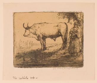 The White Ox