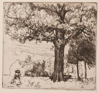 The Great Oak