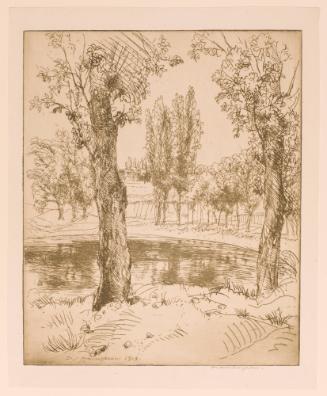 Trees and Reflections