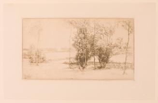 Sussex Fields