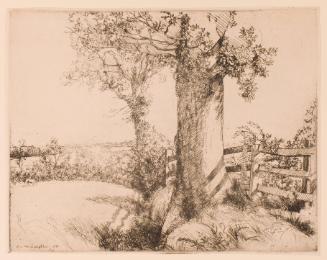 Sussex Hedges