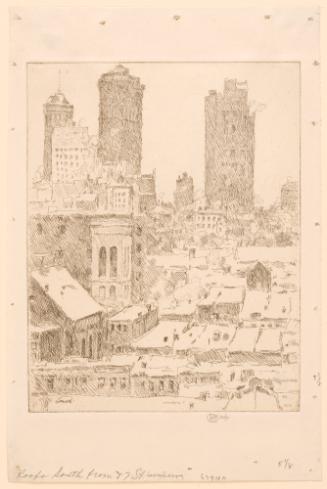 Roofs South from Fifty-Seventh Street