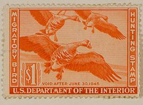 Duck Stamp Design 1944; Duck Stamp 1945