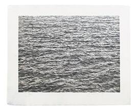 Vija Celmins