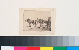 Two Horses