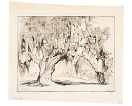 The Yeoman Oak