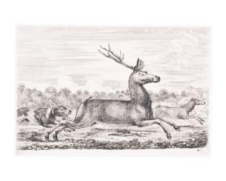 (Stag and dog running to the right) from Animal Hunts