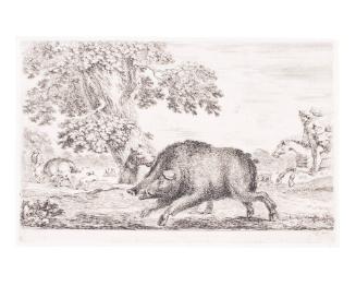 (Wild boar running to the right) from Animal Hunts