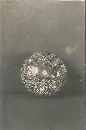 Paperweight