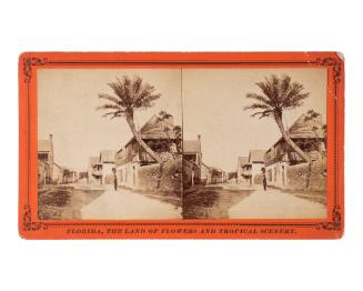 FLORIDA, THE LAND OF FLOWERS AND TROPICAL SCENERY | St. Francis Street, near the Barracks