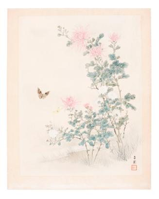 Chrysanthemums and Butterfly