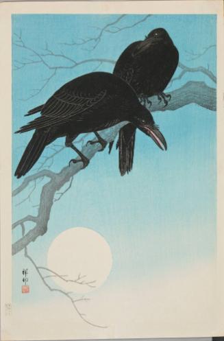 Crows in Moonlight