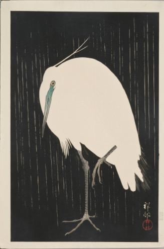 Heron in Rain