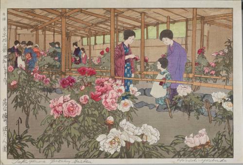 The Tokugawa Peony Garden, Ochiai, from “Twelve Subjects of Tokyo” 
