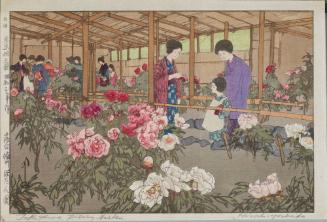 The Tokugawa Peony Garden, Ochiai, from “Twelve Subjects of Tokyo” 
