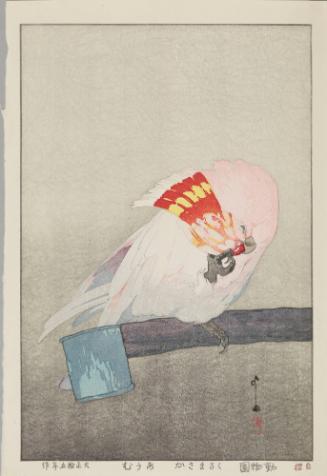 Major Mitchell's Cockatoo, from “Zoological Garden”