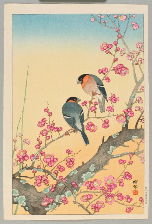 Plum Blossoms and Bullfinch