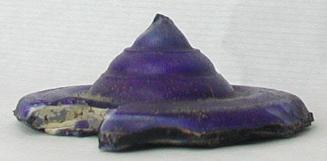 Cover of a pyxis