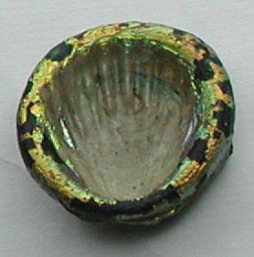 Molded shell appliqué