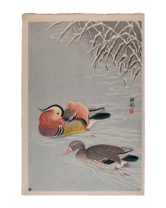 Mandarin Ducks and Snow